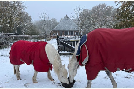 Woonboerderij in Beerze Overijssel VMP071